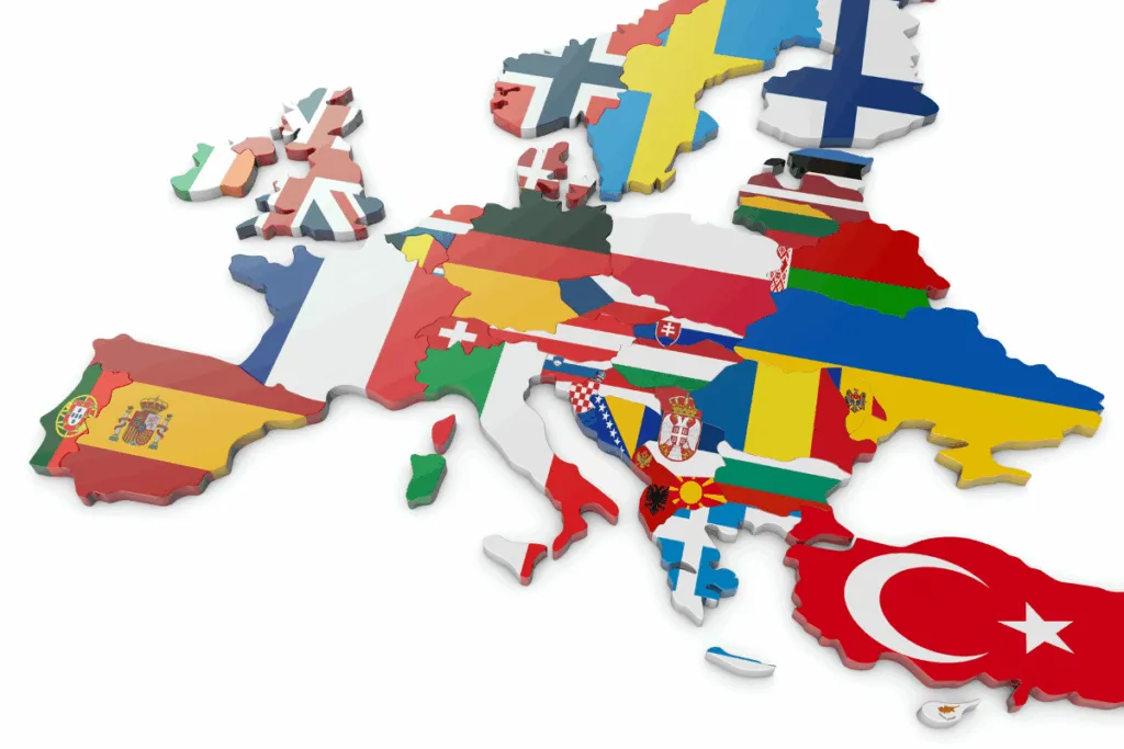 proceso para operar en la Unión Europea como operador intracomunitario después de darse de alta en el ROI